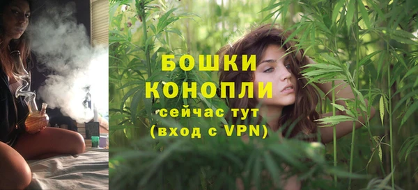 молекула духа Балабаново