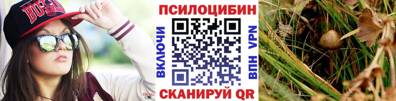 Галлюциногенные грибы Psilocybe omg как зайти Красавино